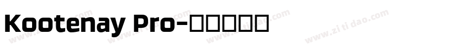 Kootenay Pro字体转换
